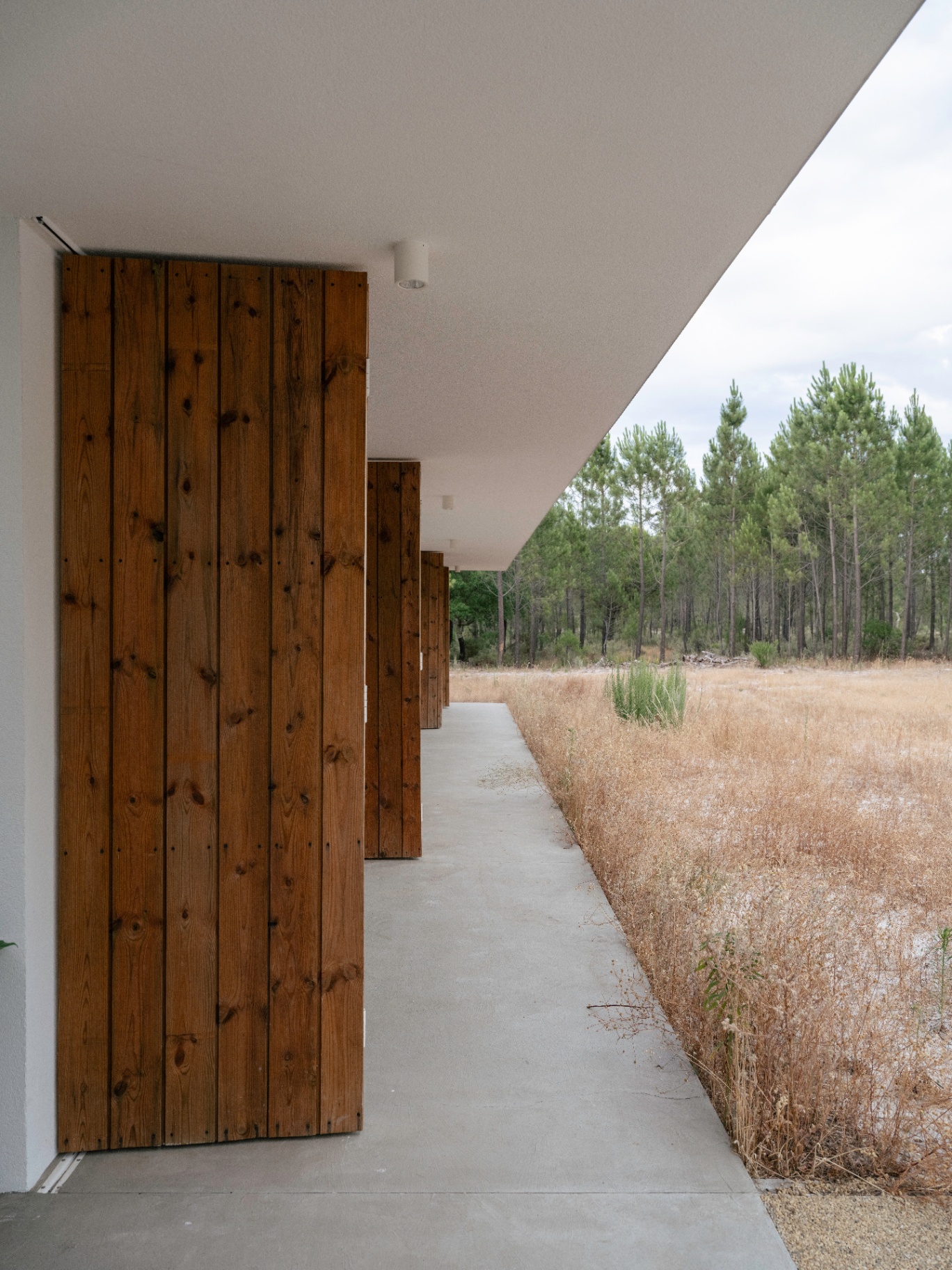 Wood-panelled entry walk beside the pinewood meadow.