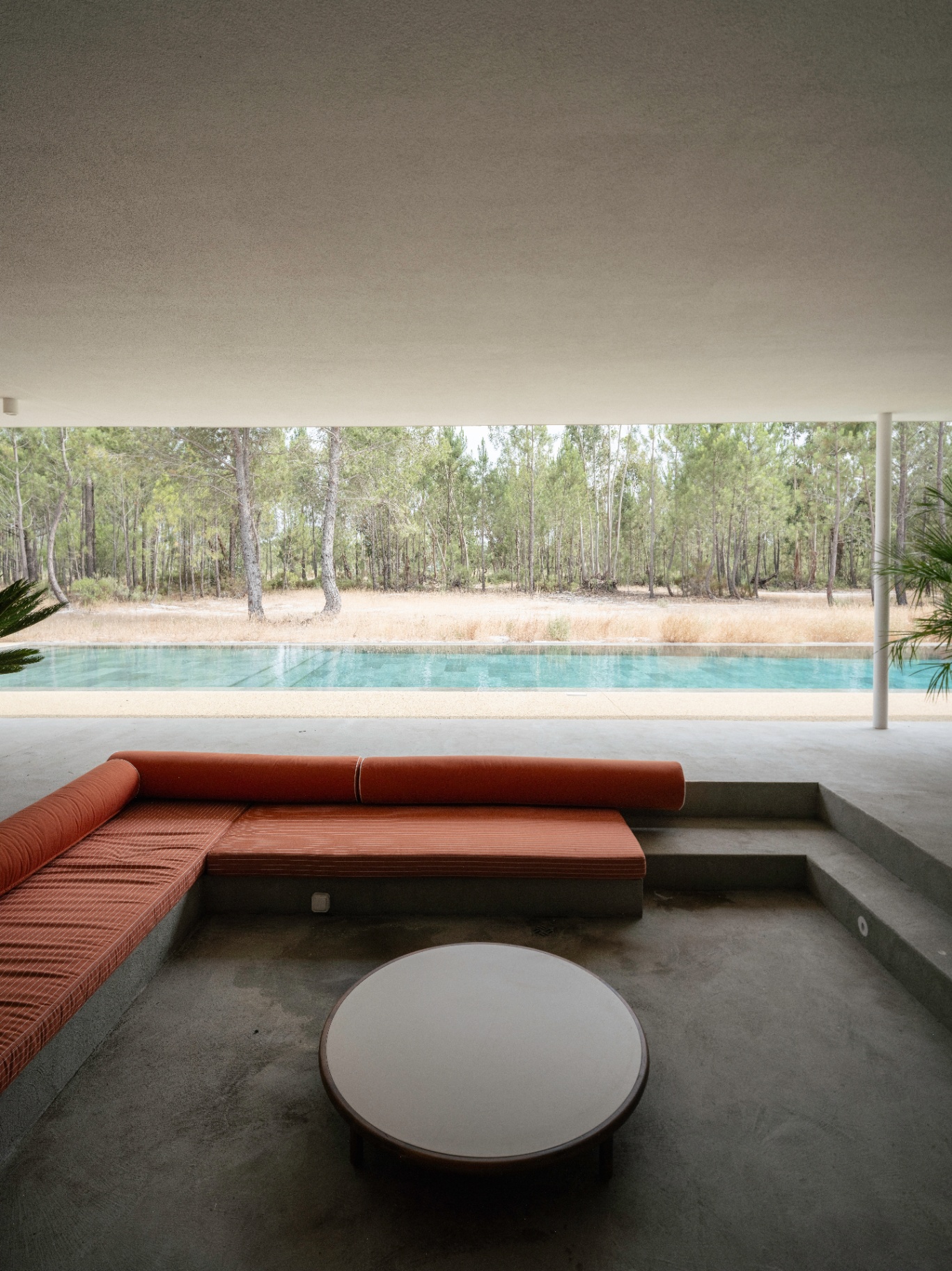 Shaded terrace lounge looking out to the pool and pines.