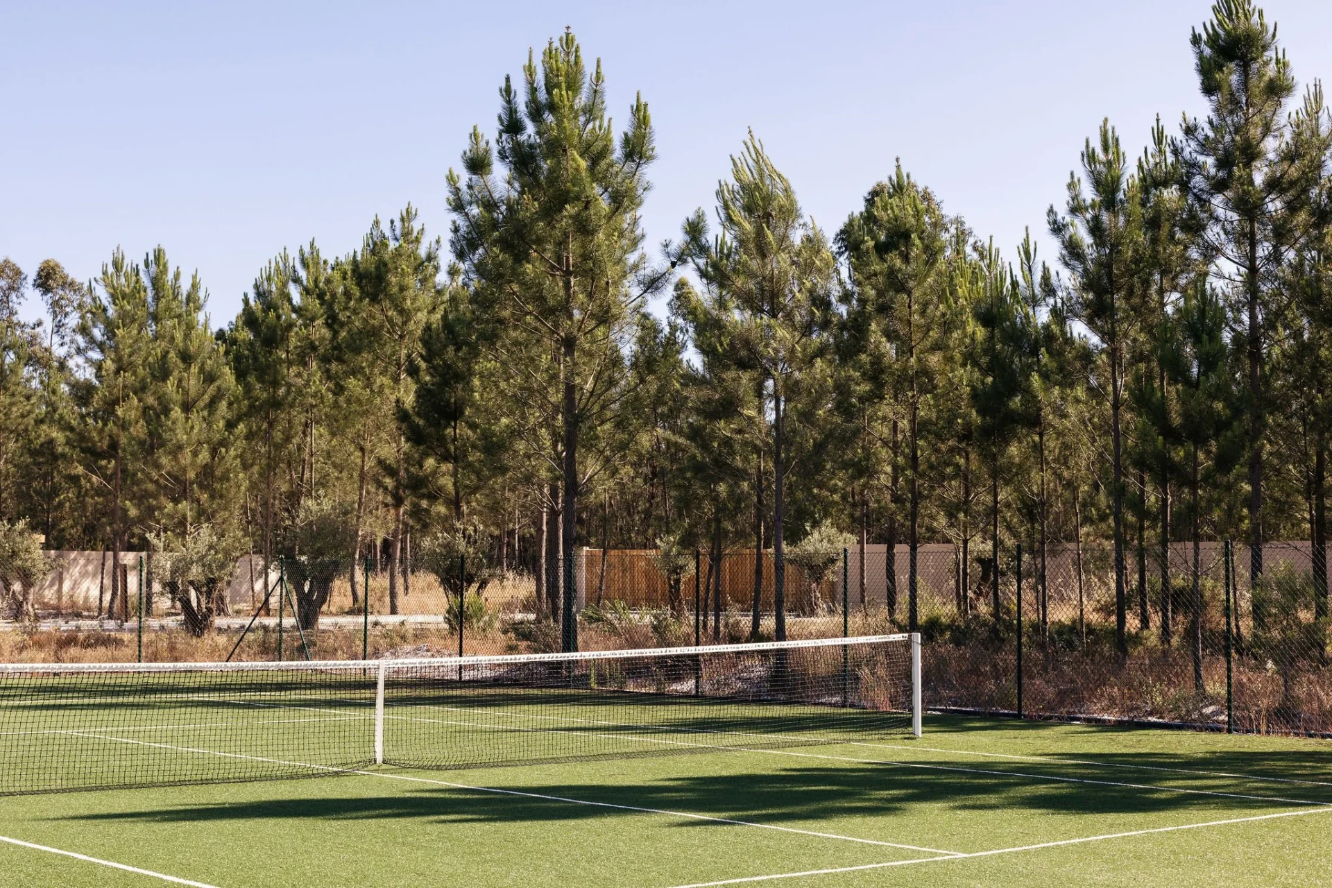 Grass tennis court framed by umbrella pines at Estates Spatia.